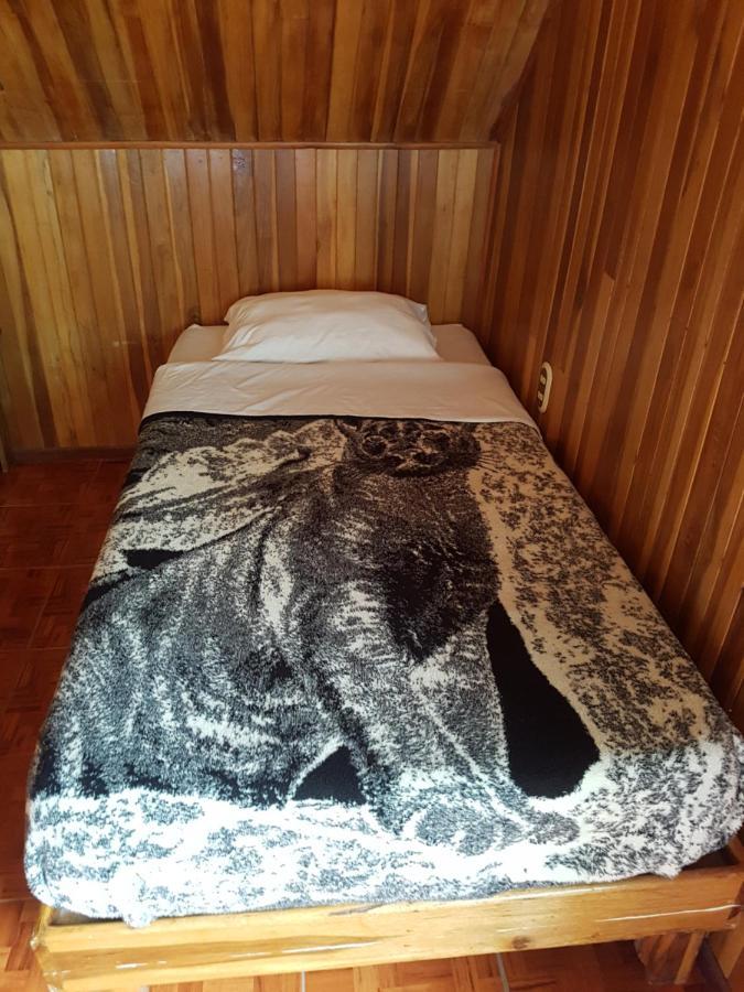Hostel Monteverde Backpackers Exteriör bild